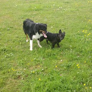 2012 05 11 15 08 31 313