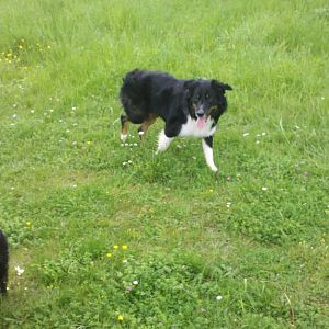 2012 05 11 15 17 24 906