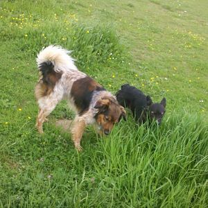 2012 05 11 15 05 57 450