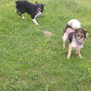 2012 05 11 15 07 02 64