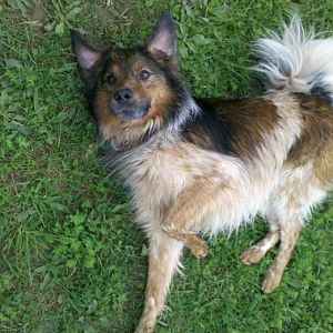 2012 05 11 15 19 39 56