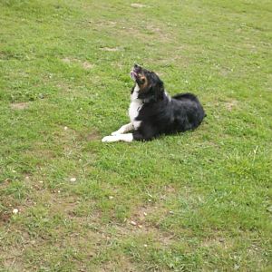 2012 05 11 15 26 12 456