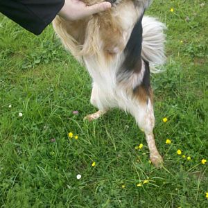 2012 05 11 15 07 28 800