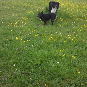 2012 05 11 15 06 12 499