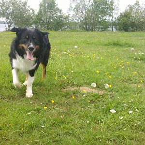 2012 05 11 15 10 34 740