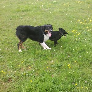 2012 05 11 15 08 33 217