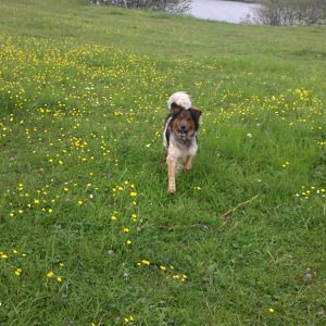 2012 05 11 15 06 32 101