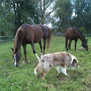 392803 268048513231872 100000801773165 707861 998670050 n