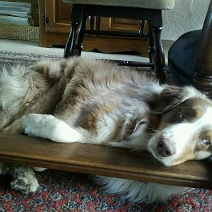 428184 312205895482800 100000801773165 820335 1500417920 n