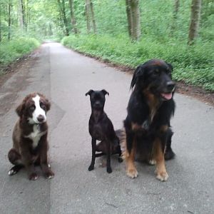 Familienfoto Mai 2012