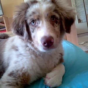 anzifezwv81uu0m0j3ivwmjifus