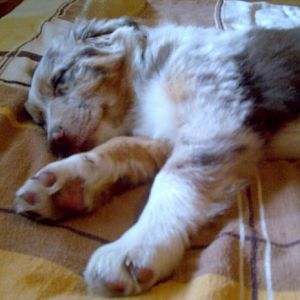 z5i526o6gxneh3ljuer3k8zbvhr