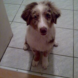 jr6r4exrruq8zznguqfbwe0swcs