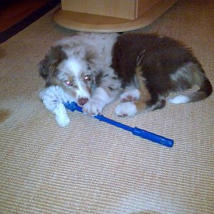 klfbgtvu6uhl3urwan16jrhq667