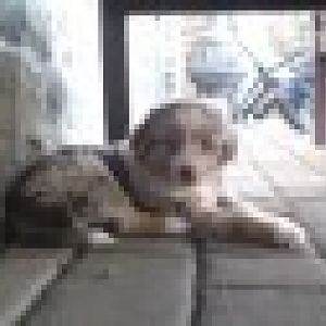 b601lba20qhj33nvv2ksqf291b7