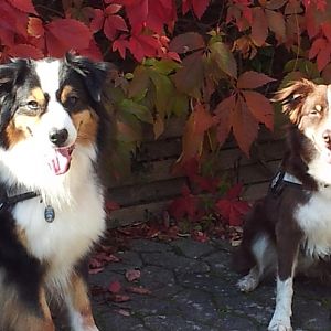Pünktchen und Shiva