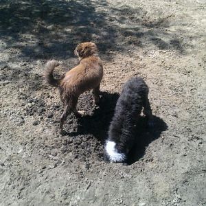 IMG 20130720 WA0005