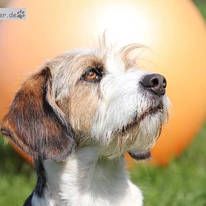 1289978 532601140138379 1845547869 n