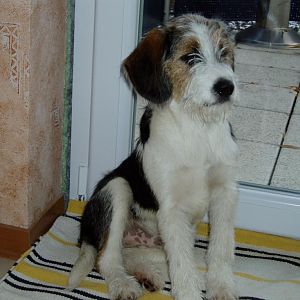 P1010077