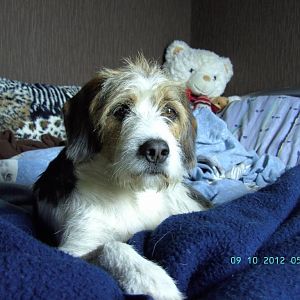 BILD0694