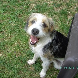 BILD0609