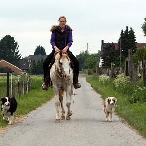Majas und Honeys großer Bruder Bandit :)