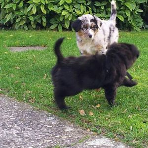 Erstes Treffen