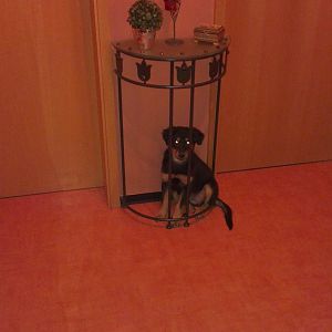IMAG0831