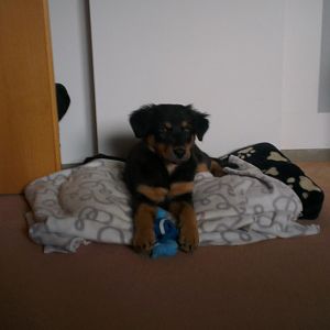 IMAG0789