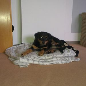 IMAG0782