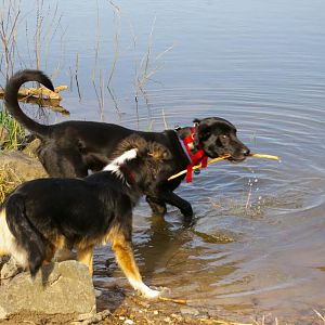 Mit Luke am wasser spielen