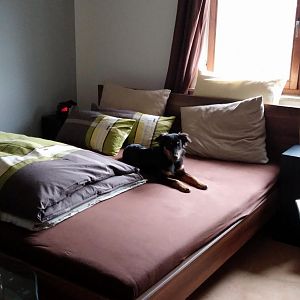 CAM00045