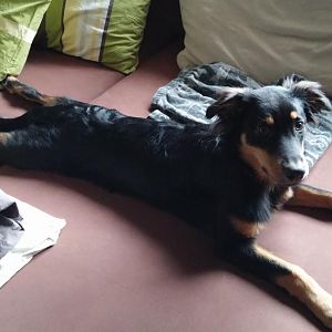 CAM00072
