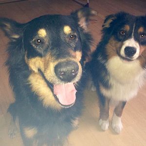 Amy's Mama und Papa