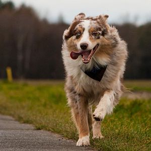 So eine Quatschnudel