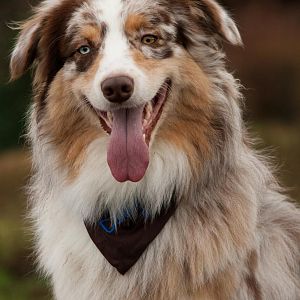 Mit seinem neuen Tuch von Dana und Diaz ♥