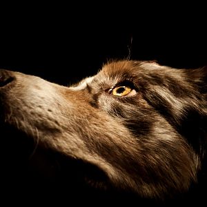 Mal was neues probiert :D