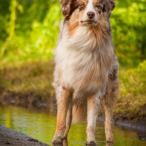 Mein Knuddelbär ♥ Kaum zu Glauben aber das Bild entstand am 27. Dezember! So ein eigenartiges Winter...