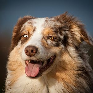 Den Wind genießen ^^