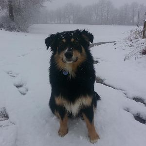 20131226 151306