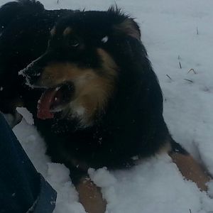 20131226 141426 1
