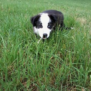 970276 202473529915511 1055445331 n