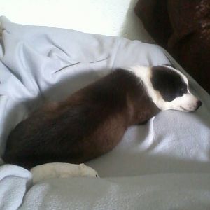 998402 202672749895589 1110880532 n