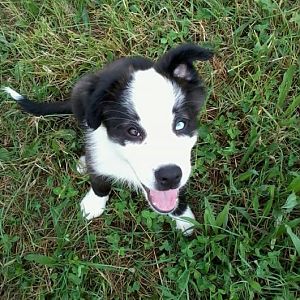 1005783 202672686562262 716309824 n