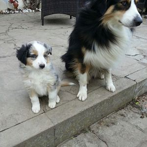 altAlgPCNJ6uDvSgpoHIBboSrSJGDgduAHENRuD343e2TWZ