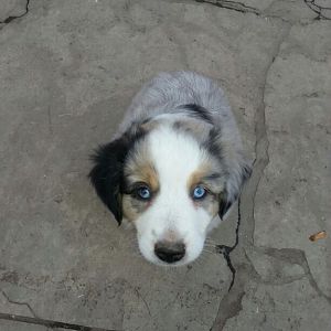 altAs62dYRYEJGozvrdGkRXKXMj5geeUEa4ZxkFP7gCrfaE