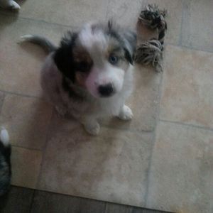 altAtnbtMbiqoZfKPM05obpyUJ5AP6gobFCg0DYNFRbak I (1)