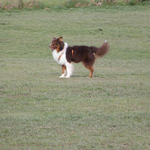 P1050065