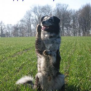 Alles Liebe Süßer :D