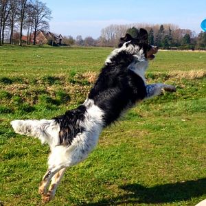 14 03 08 Flying Murphy